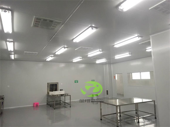 郴州福鹅食品麻豆国情网站入口车间装修工程(图4)